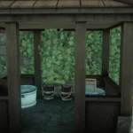 The Medieval baths of Hendford