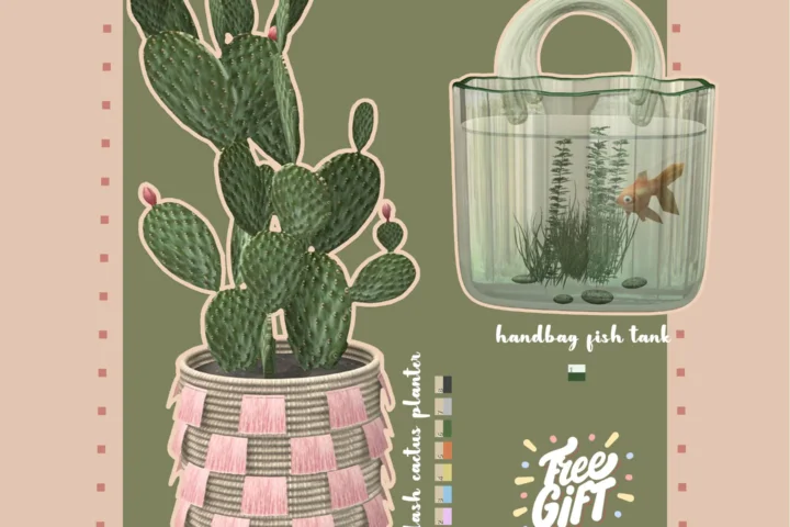 cactus and koi