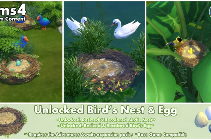 Unlocked Bird's Nest ~ Bird ~ Animal ~ Pet