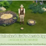 Unlocked Bird's Nest ~ Bird ~ Animal ~ Pet