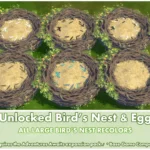Unlocked Bird's Nest ~ Bird ~ Animal ~ Pet