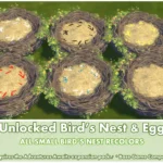 Unlocked Bird's Nest ~ Bird ~ Animal ~ Pet