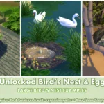 Unlocked Bird's Nest ~ Bird ~ Animal ~ Pet