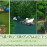 Unlocked Bird's Nest ~ Bird ~ Animal ~ Pet