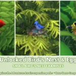 Unlocked Bird's Nest ~ Bird ~ Animal ~ Pet