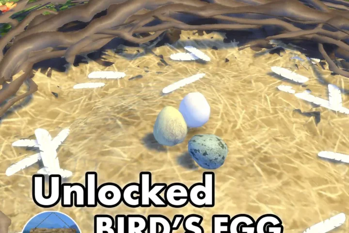 Unlocked Bird's Egg ~ Bird ~ Animal ~ Pet