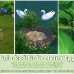 Unlocked Bird's Egg ~ Bird ~ Animal ~ Pet