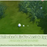 Unlocked Bird's Egg ~ Bird ~ Animal ~ Pet