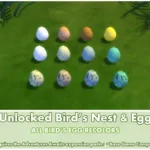 Unlocked Bird's Egg ~ Bird ~ Animal ~ Pet