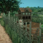 Medieval Carpenter's house
