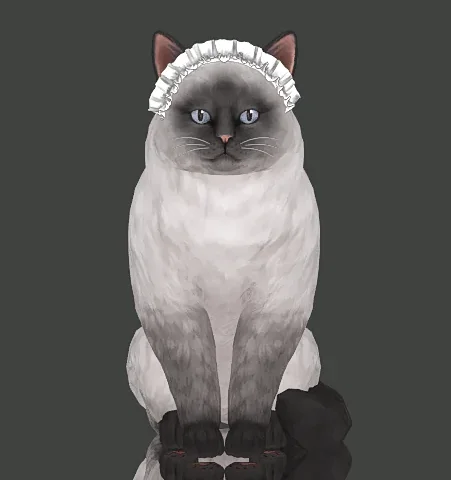 Soulmate_N106_pet_hat (cat)