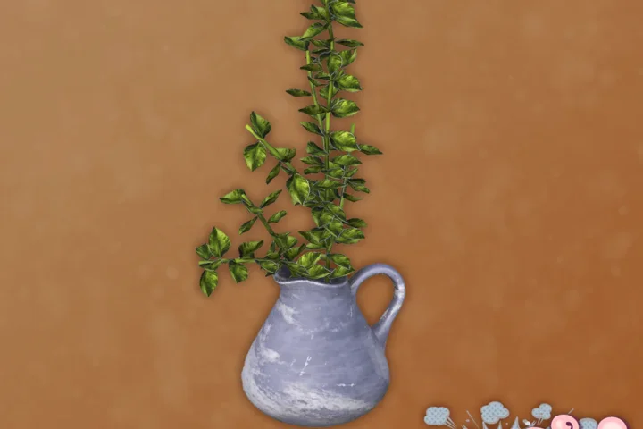 Wedine - Plant