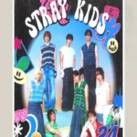 stray kids posters