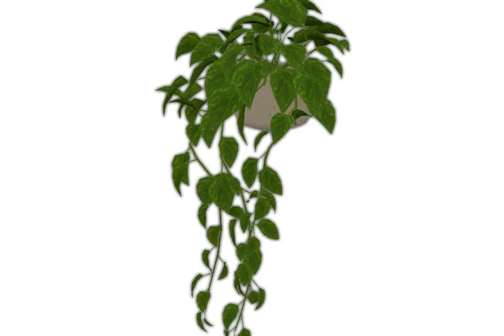 Comiko - Modern Farm Kitchen Falling Plant