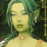 Enchanted Forest Collection