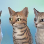 [PW] Detailed Maxis Match Whiskers