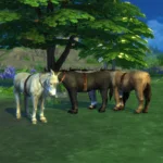 Dapple the Donkey - instead of a bike