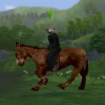 Dapple the Donkey - instead of a bike