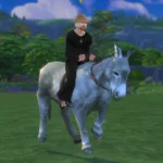 Dapple the Donkey - instead of a bike