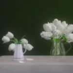 Tulip set by pocci