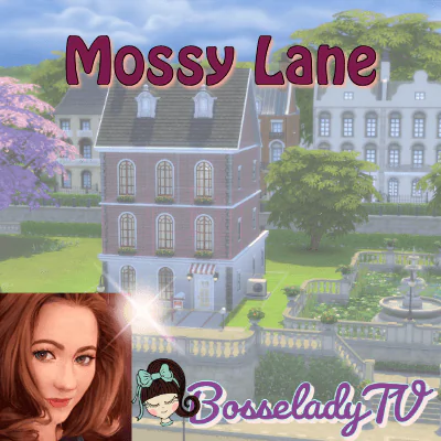 Mossy Lane Multi-Unit Lot