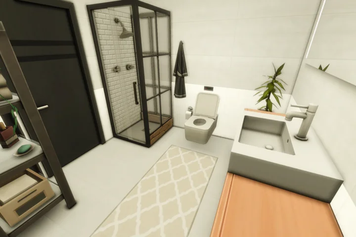 Modern Tiny House
