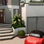 Modern Tiny House