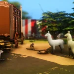 Circus
