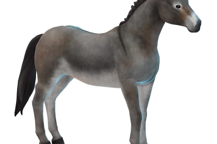 Mule