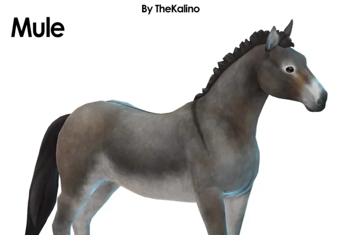 Mule