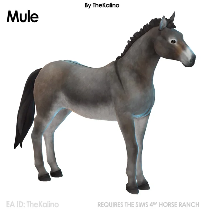 Mule