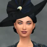 Victorian Bustle Dresses, Remade, with accessories
