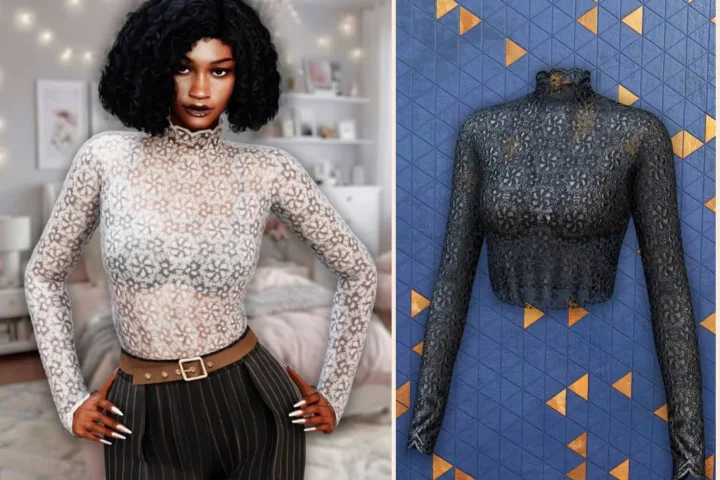 Sheer lace high neck top