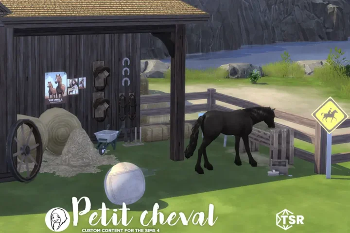 Набор для ранчо Petit cheval horse ranch