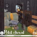 Набор для ранчо Petit cheval horse ranch