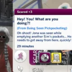 NC4T Pickpocketing Mod
