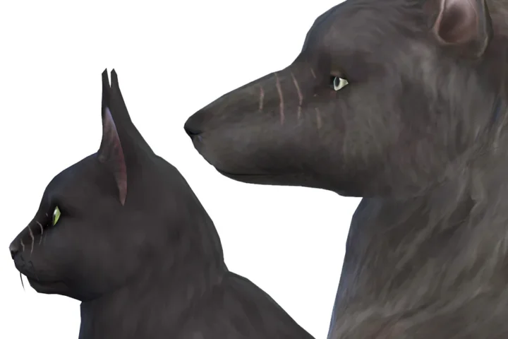 Nose Scars