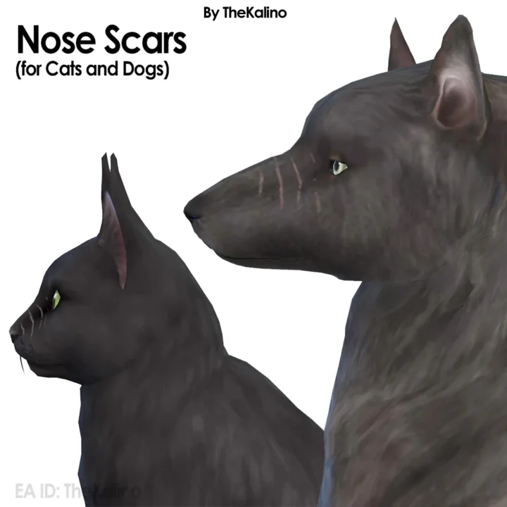 Nose Scars