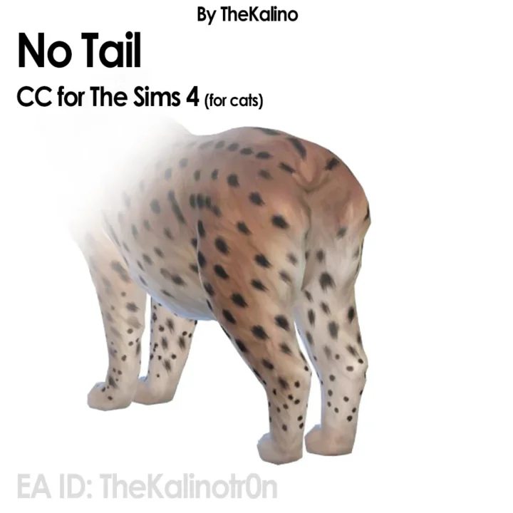 No Tail Cats