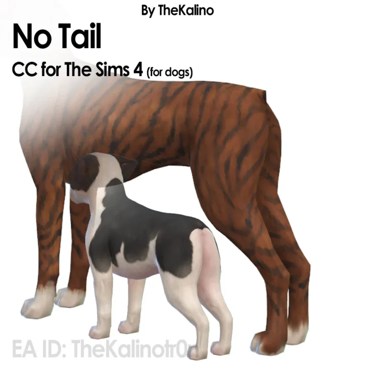 No tail (dogs)