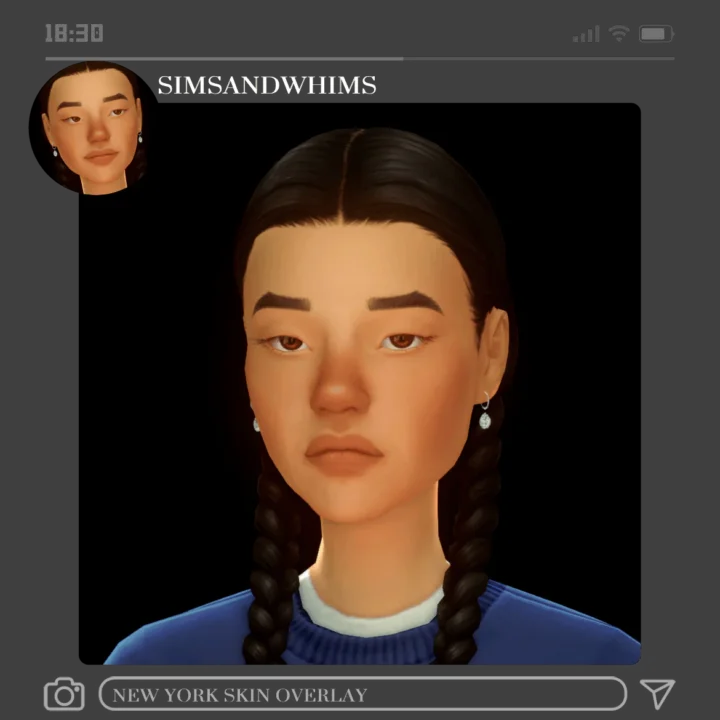 New York Skin Overlay
