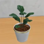 Oh my plants - set