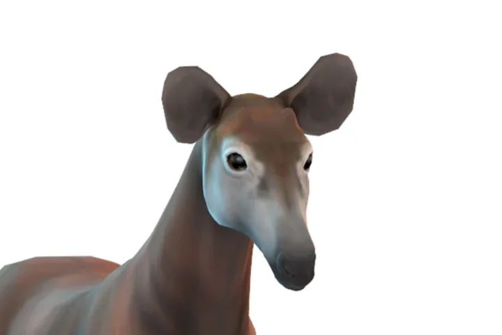 Okapi Ears
