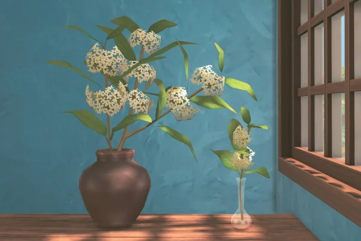 Sweet Osmanthus