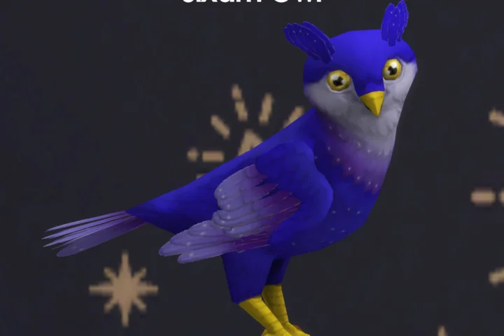 Sixam Owl (Bird)