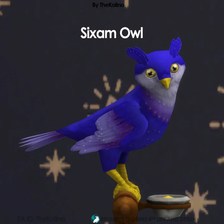Sixam Owl (Bird)