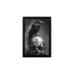 Goth Decors Set