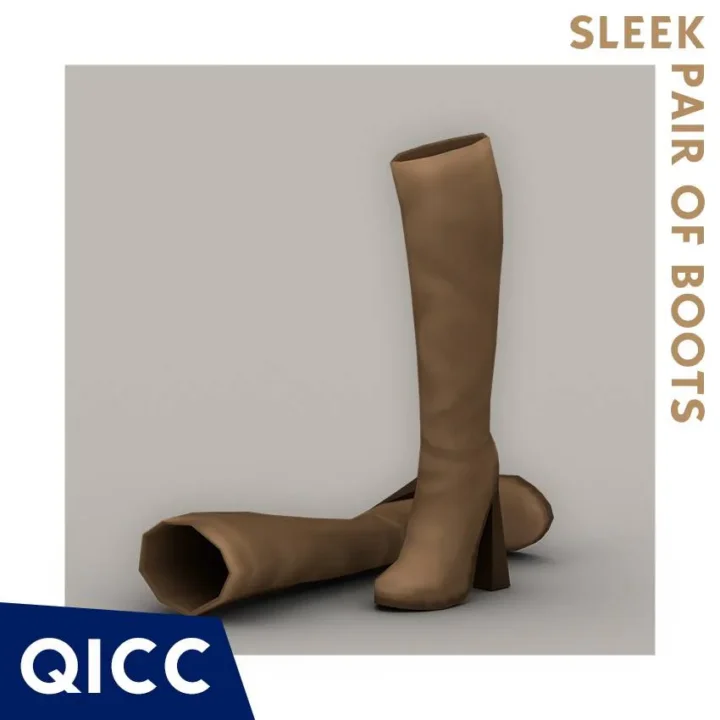 QICC - Sleek Pair of Boots
