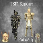 TSM Knight Armor: Paladin