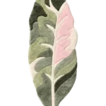 Pastel Jungle Rugs